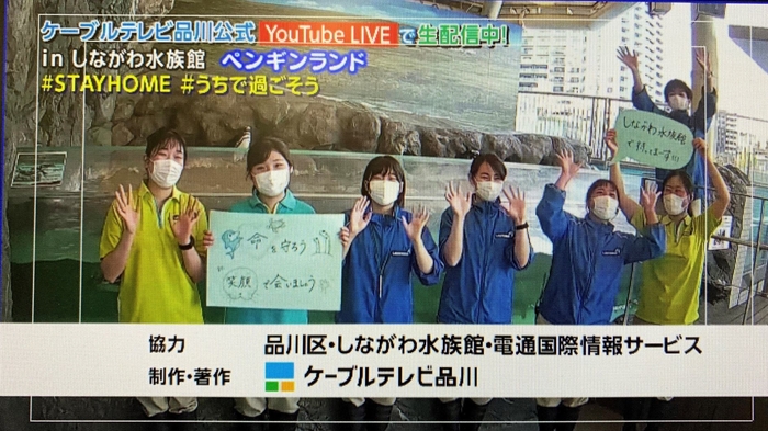 しながわ水族館の皆さん(番組画面)