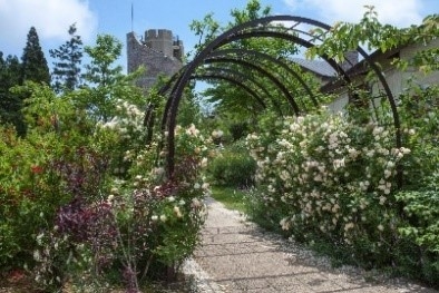 六甲ガーデンテラス コッテージガーデン