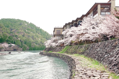 一面の桜 秋は紅葉