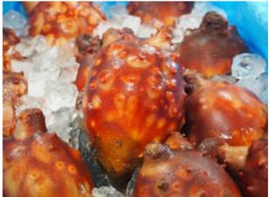 宮城県「ほや」