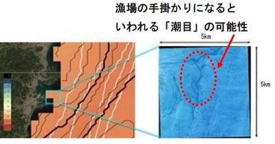 世界初※１、人工衛星を活用した 高精度漁場予測サービスに関する共同研究の開始について