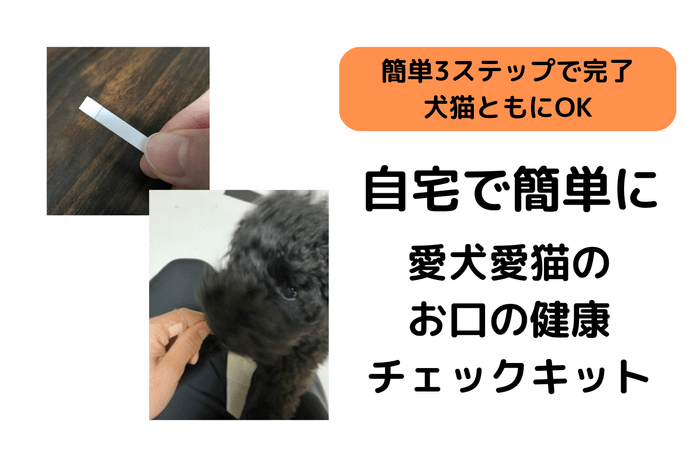 お口の健康チェックキット