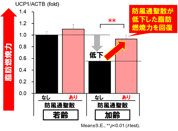 図3：脂肪燃焼力の回復
