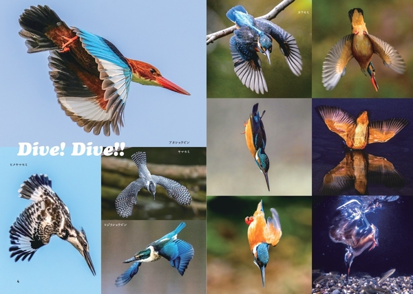 Dive! Dive!!