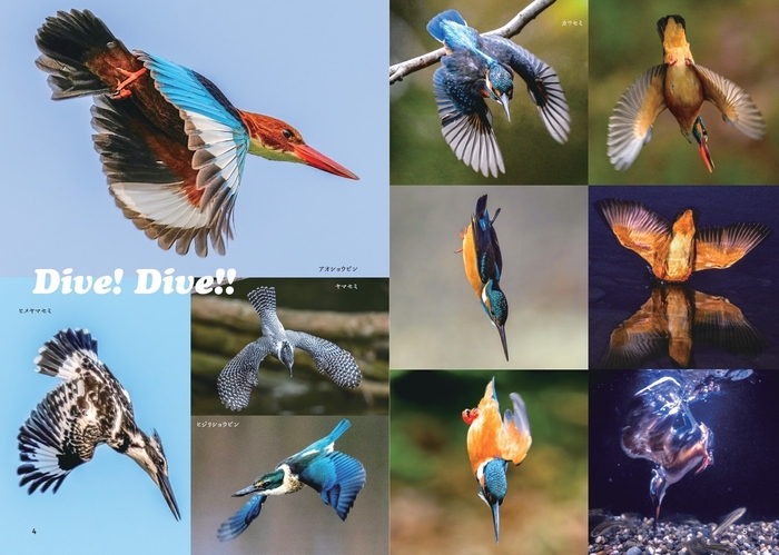 Dive! Dive!!