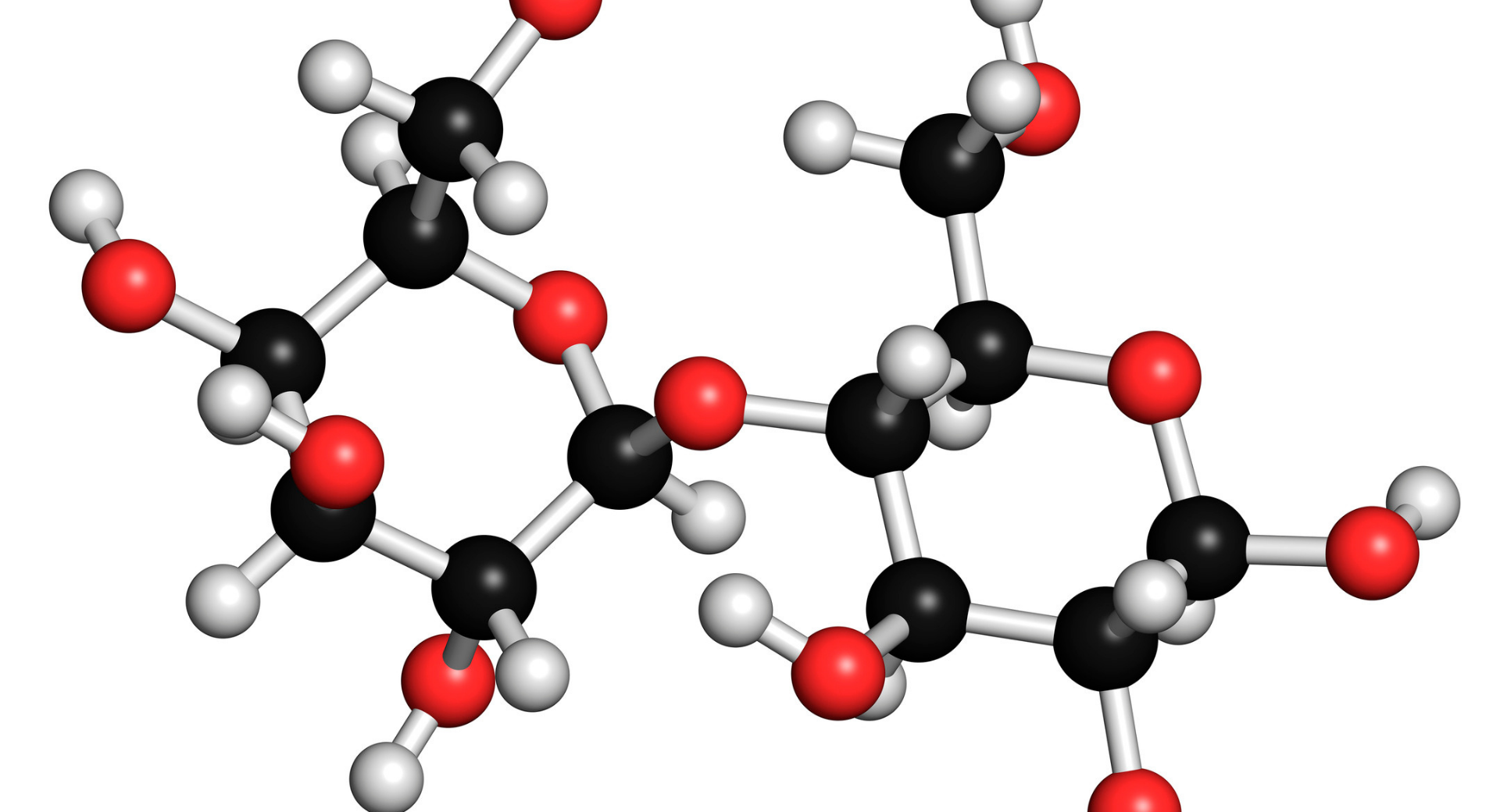 ラクターゼの市場規模は、2027年には276.5百万米ドルに達すると予想される