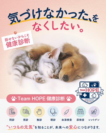 気づけなかった、をなくしたい。