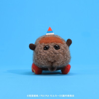 教習テディ