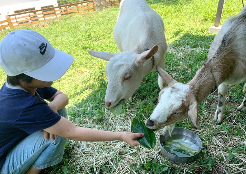 【ココトモワークスジュニア】