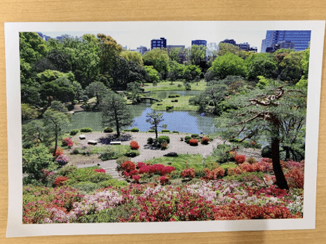 ポストカード(イメージ)