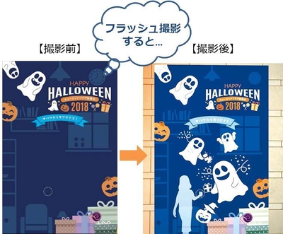 フラッシュ撮影でオドロキ!フォトスポット