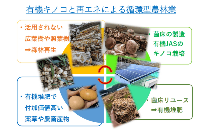 ハルカインターナショナルが展開していく循環型農林業の事業モデル