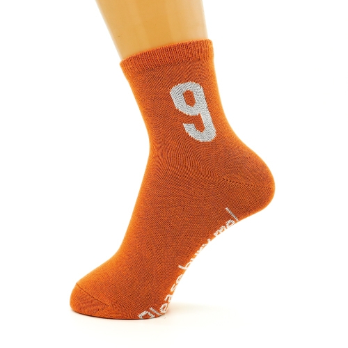 SDGs Socks(カラー：目標9)