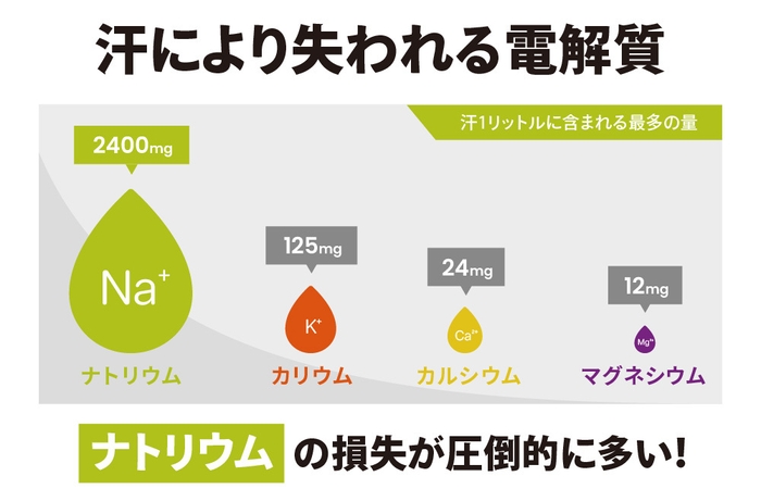 水だけじゃ防げない。カギは“電解質”、特にナトリウム！