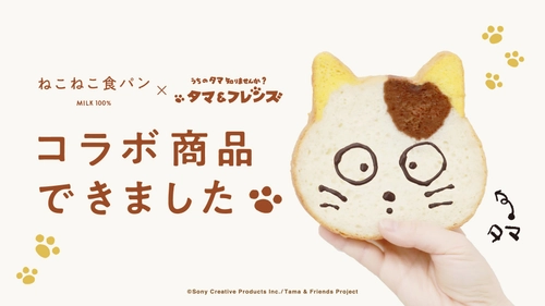 【うちのタマ描きませんか？】高級食パン専門店「ねこねこ食パン」と「タマ&フレンズ～うちのタマ知りませんか？～」のコラボ商品が数量限定で発売！