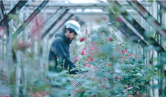 あがらと風景 2