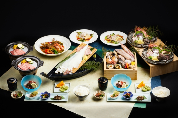 朝とれイカプラン