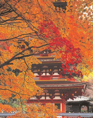 長谷寺