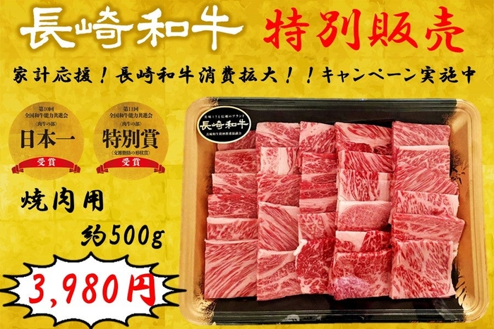 長崎和牛　焼肉用（約５００ｇ）