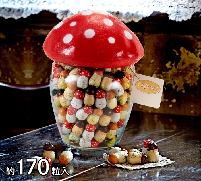 170粒!きのこポット(大)