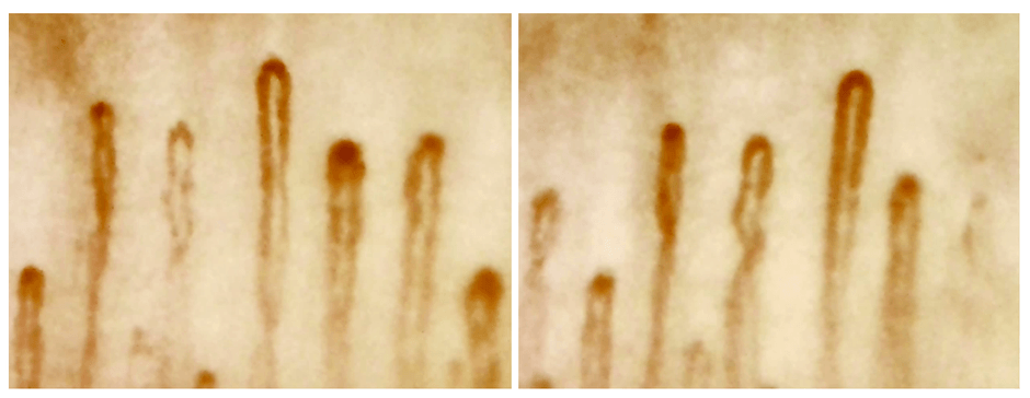 左：着用前　右：着用後