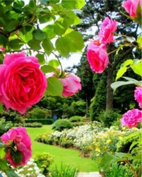 六甲山カンツリーハウス ローズウオーク(イメージ)