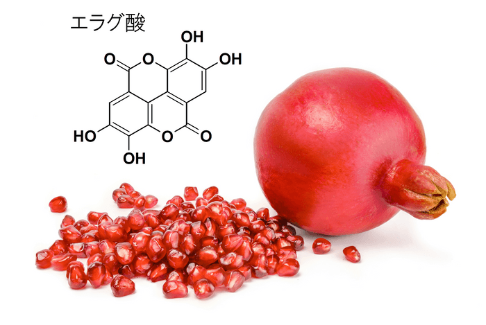 エラグ酸