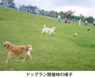 愛犬と過ごす秋の六甲山カンツリーハウス 「六甲山のドッグラン」開催！ 9月5日(土)～11月3日（火・祝）の土曜・日曜・祝日