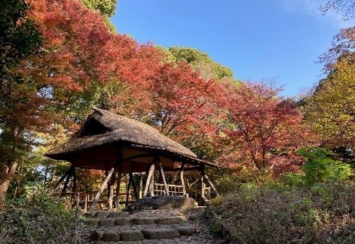 オリジナルポストカード(イメージ)