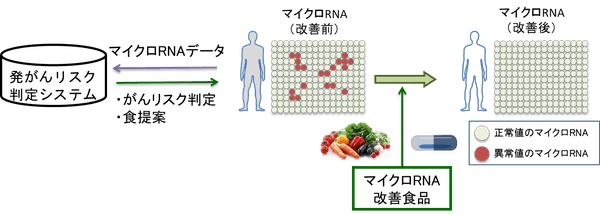 ※2 「食生活の提案によるがん予防」のイメージ