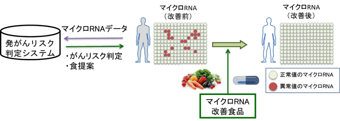 ※2 「食生活の提案によるがん予防」のイメージ