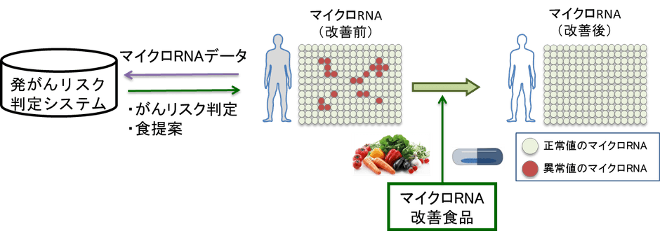 ※2 「食生活の提案によるがん予防」のイメージ
