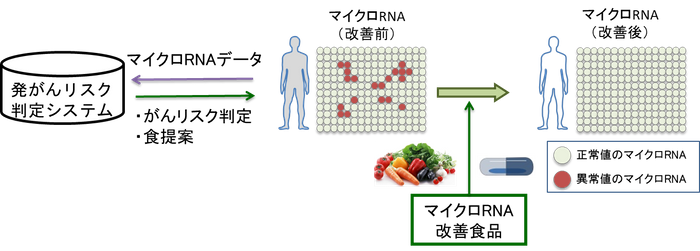 ※2 「食生活の提案によるがん予防」のイメージ