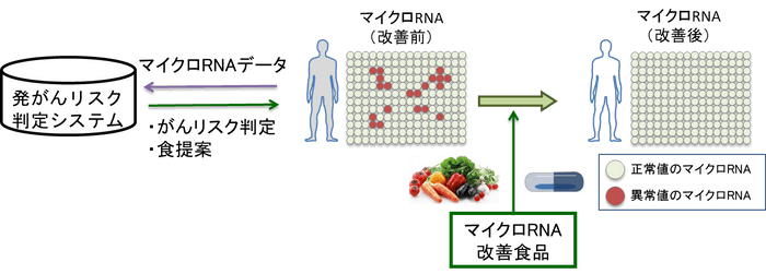 ※2 「食生活の提案によるがん予防」のイメージ