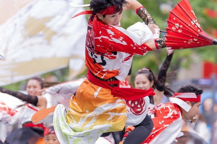 凜空演舞写真(2)