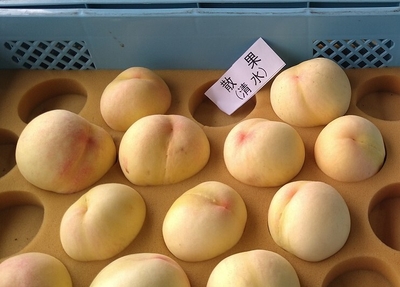 出荷規格外となった桃