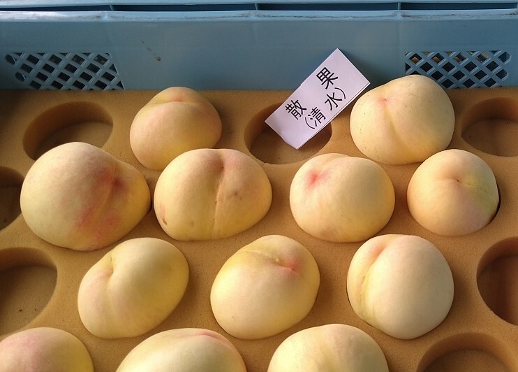 出荷規格外となった桃