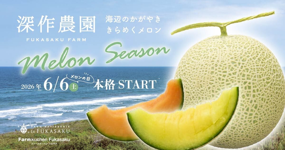深作農園のメロンシーズンが本格スタート