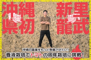 新里龍武
