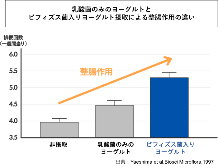 乳酸菌のみヨーグルトとビフィズス菌入りヨーグルトの整腸作用の違い