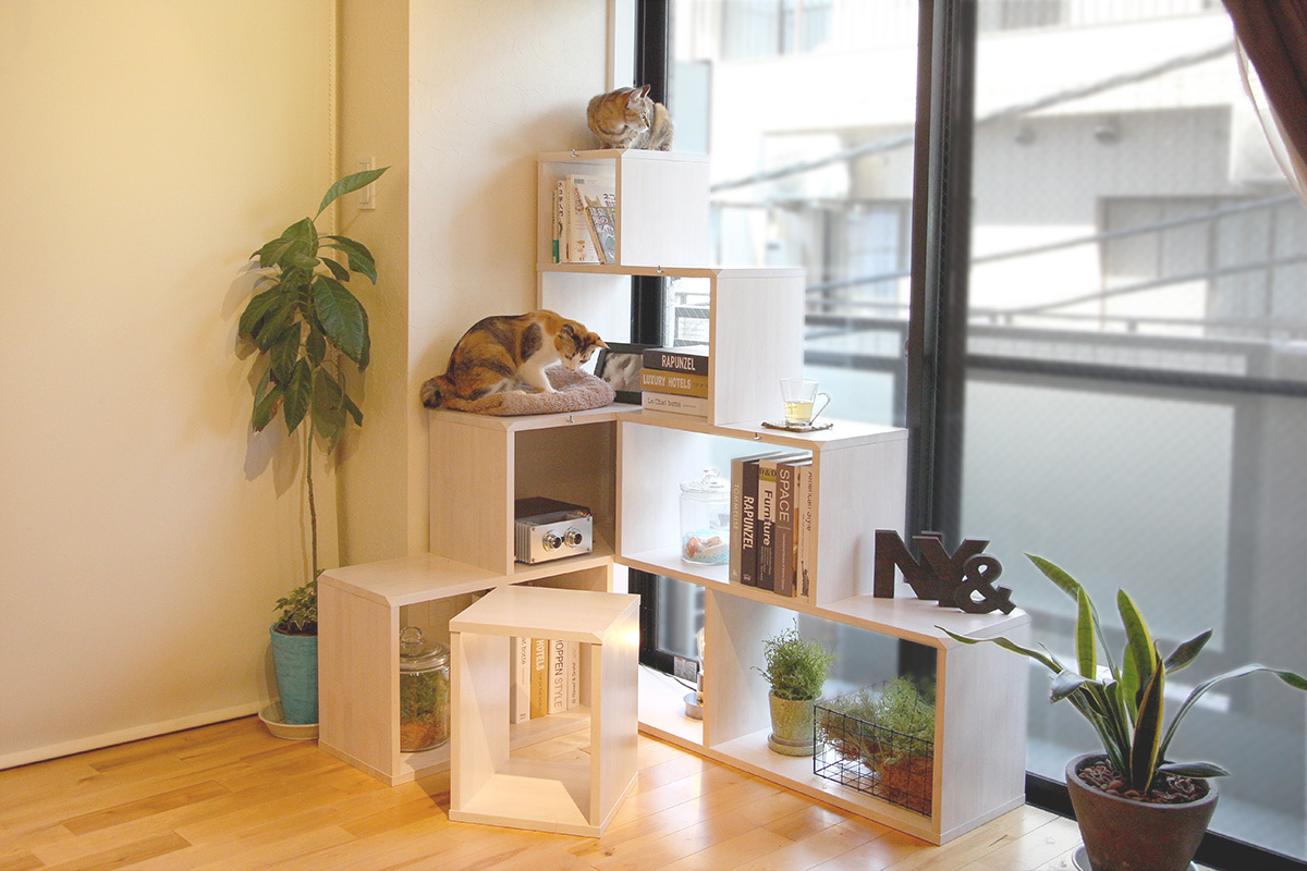 前作 NY& SHELFシリーズ NY& ROOT SHELF