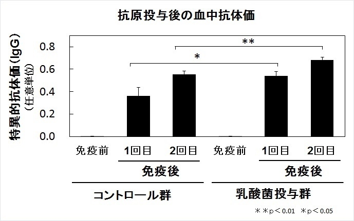 抗原投与後の血中抗体価