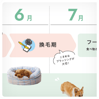 POINT１.季節ごとの健康ポイント