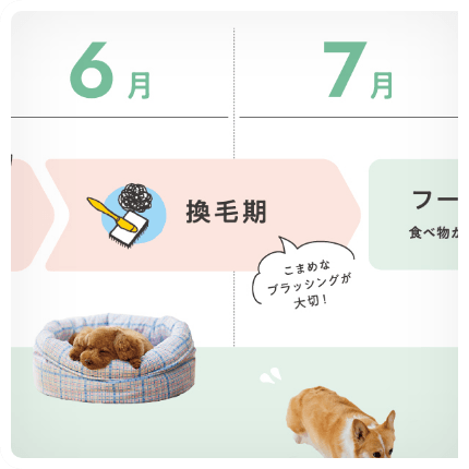 POINT1.季節ごとの健康ポイント