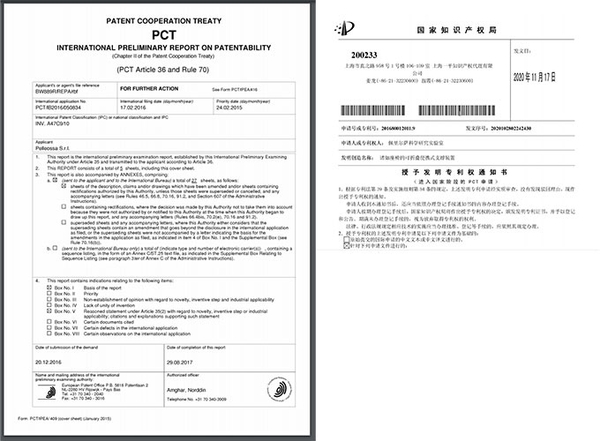 【bip】は、5か国で特許を取得しています。