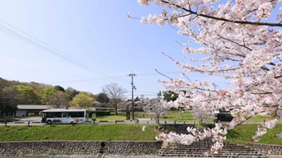 【奈良交通】「奈良交通創立８０周年記念フォトコンテスト」の開催について  