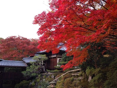 庭園の紅葉