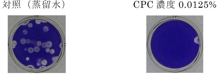  図１　CPCを１分間曝露した時のA型インフルエンザウイルス（H1N1）不活化の様子 （プラーク法＊＊）