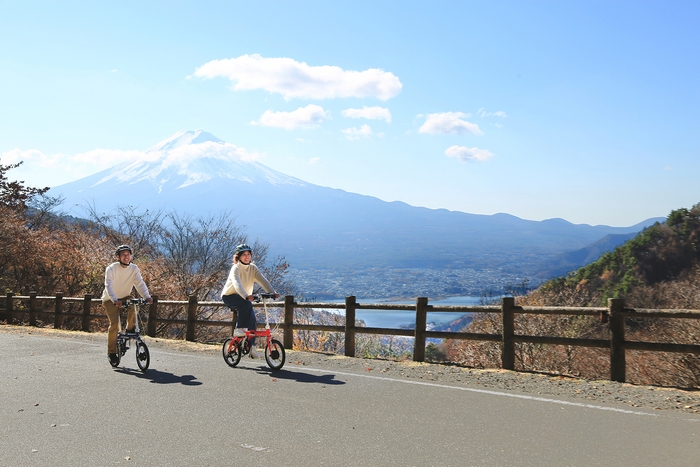 FIAT 500 AL-FDB163S-E_image2