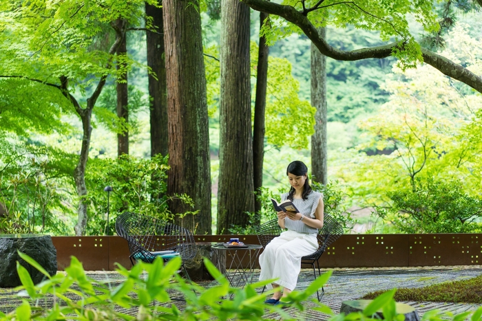 【星のや京都】奥の庭で読書